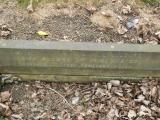 image of grave number 684375